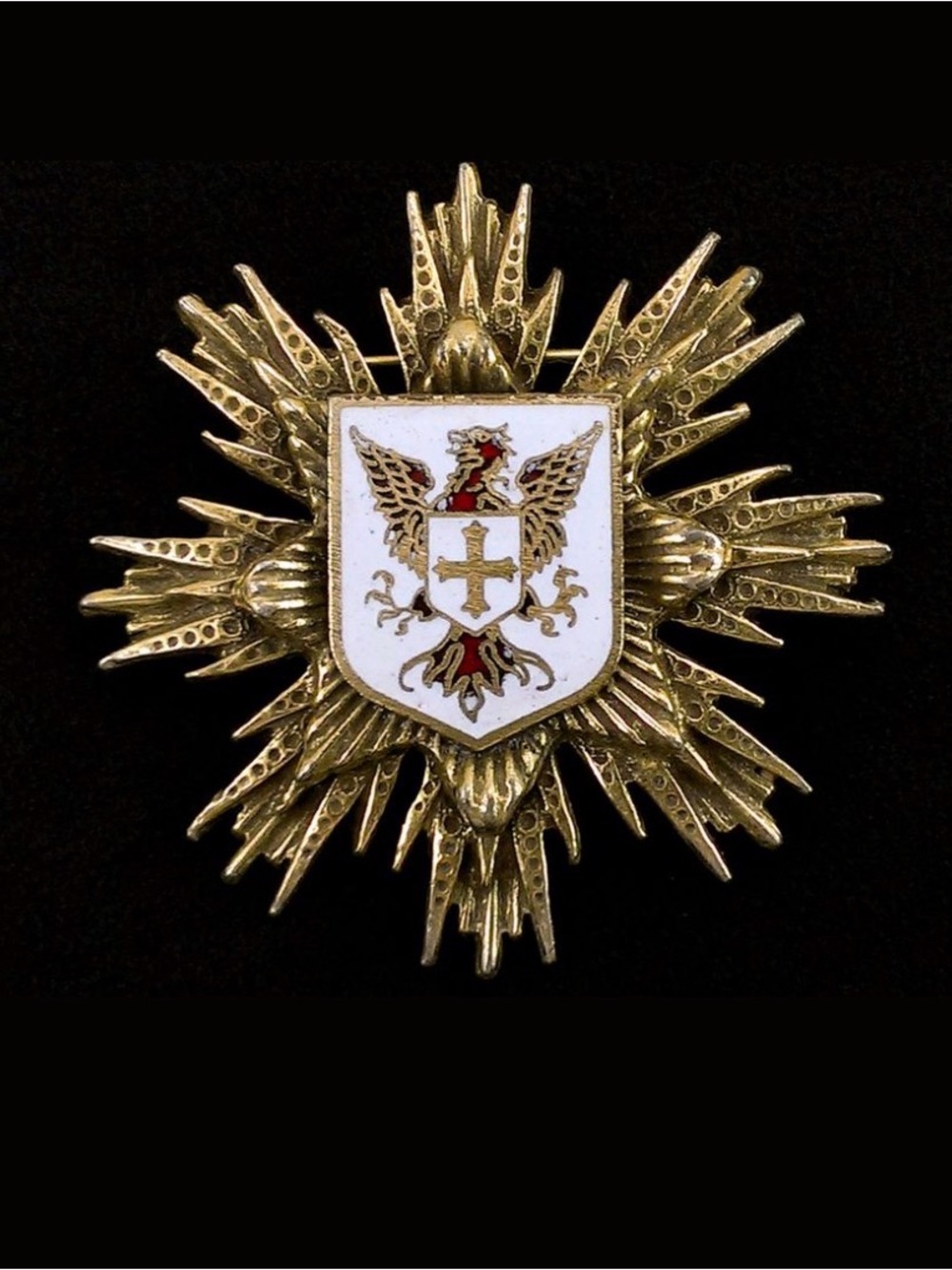 Vintage Order of the Phoenix Bird Brooch, Knights Templar, Shield & Star/Cross